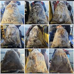 다래호 ❤️왕쭈꾸미 쫙 ~~쫙 달라붙습니다 ❤️즐낚하러오세요 ❤️월요일부터 자리널널 입니다