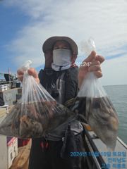 10일 문어조황 올려드려요