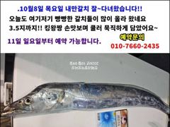 49분전 [포항] 실시간2부 10/10 돌문어