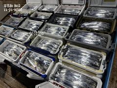 [11일입항,준내만갈치]대치들엄청잡고~!!! 만쿨수두룩!!! 오늘예약가능합니다! 일월화수목금 자리널널~