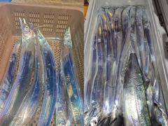 [[ 통영 항진피싱 ]] 쿨러 가득 담긴 갈치 쿨러 앞에 앉아, 사진 한 컷 이맛이죠?ㅎㅎㅎ // 내일 갈치낚시 자리여유^^