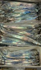 [진해] "내만갈치"담배값싸이즈~ 손맛찐하게~!!(월화수목 내만갈치예약/…