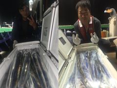 ((**여수 포르투나**)) 주말,,씨알좋은 갈치 많이 나왔습니다..