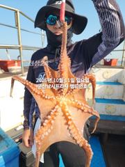 11일, 군산 왕문어 ~덩치급 왕문어~연일 출조~내일도 갑니다~군산낚시프라자 챔피언호