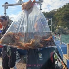 10/11 문어 조황