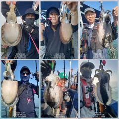 [무창포아파치호] 10월11일(일), 오늘도 쭈갑 병행출조, 갑오징어 위주로 망태기가 풍성한 조황~ㅎ 내일(12일,월)도 정상출조, 자리여유, 전화주세요~ 010-8422-0866