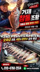 6시간전 [서산,태안] 1011 사리물때 가장많은 물량에 어마어마 물쌀피해 물정맞춰 쭈갑낚시~