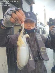 12일, 군산은 갑오징어 천국~싸이즈 굿~오늘도 잘 나오네요~실시간~~군산낚시프라자 그랜드호