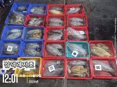 [팁런] k,k,완전무시급들 싸이즈"굿"(화요일,출항)