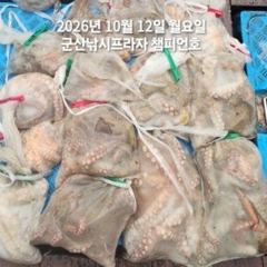 12일, 군산 왕문어 ~덩치급 왕문어~연일 계속~내일도 갑니다~군산낚시프라자 챔피언호