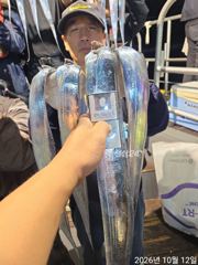 [진해] 12일새벽 내만갈치 용가리급까지 사이즈 최고~!!전원 엄청 잡고…