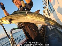 12/월ㅡ피딩타임 대삼치들, 중방어들ㅡ많은 마릿수 랜딩!