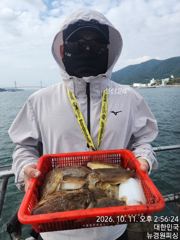 내일 왕갑이 6분예약중 출조확정 입니다 자리여유 많습니다 갑오징어 씨알이 엄청좋아졌네요