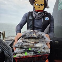 인천 [마린스타 1호] 10월 12일(월) [갑오징어] 조황!!!