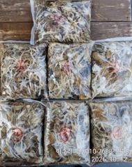 삼천포 아수라피싱 주꾸미 조황