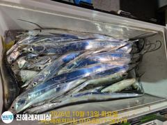 [진해] 내만칼치ㅡ씨알.마릿수 초대박~어마어마하게 퍼담고(오늘 예약가능)