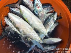 월욜 고기는 적당히 재미는 두배..