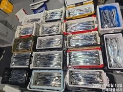 [진해] 와우~13일새벽,내만칼치 용가리 어마어마하게 퍼담고~초대박.수,…