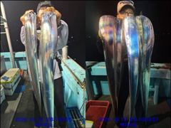 [통영] 통영백가피싱)기상좋은 목요일,금요일 왕갈치 출동 합니다.한치채비…