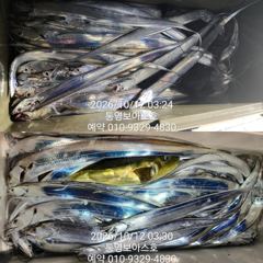 대치잡으러 보아스호 출동