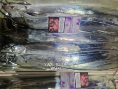 내만갈치 美친..씨알깡패!! 퍼담고 쓸어담고..(목예약가능)