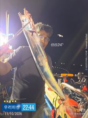 갈치(텐빈. 텐야) 대치들이 올라옵니다. 내일 예약가능)