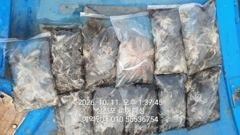 [사천] (주꾸미)널렸네요 80~70수 삼천포 먹물파티~로마피싱(15일예…