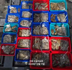 힛트<주간쭈꾸미>장원100수>90>80>70>목,금,토,일 예약가능
