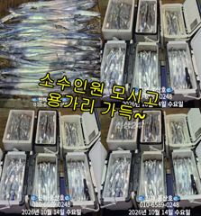 (풍산)내만갈치~용가리~어마어마~퍼담고~~(오늘,예약가능합니다)