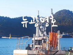 [통영] [VIP 광명호] 초~대박!! -- 19일(월), 20일(화) …