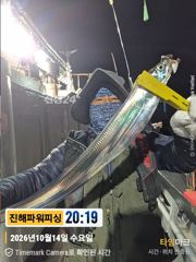 [진해] 15일입항[갈치/텐빈]쿨러조황~[금요일]예약가능 토요일 내만갈치…