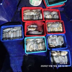 [거제] (내만 팁런)무늬~초~대박 장원 31수 총 125수 스마일호(오…