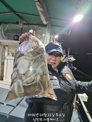[먹물조황]삼천포문어,주꾸미조황!