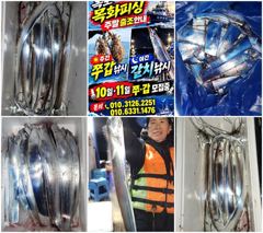 목화피싱 10/14일 야간 갈치낚시 조황 씨앟 좋은걸 잡았네요.대신 마릿수 아쉽네요.