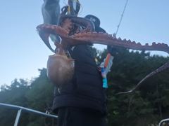 [진해] 야간돌문어k급외장원24수외마릿수굿~살림망묵~직
