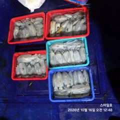 [거제] (내만 팁런)무늬 대박행진 장원 28수 총 97수~스마일호(오늘…