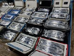 [내만갈치]씨알마릿수좋습니다~ 내일예약가능! [준내만갈치]3,4,5지대치로 얼음녹이고만쿨까지~~~ 월요일부터 예약가능! [주꾸미]일2자리가능합니다~