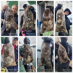 [사천] 쭈꾸미 황금 물때!장원 252수외!