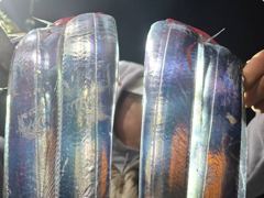 [진해] 내만갈치~씨알끝장!3지갈치!엄청잡고!쓸어담고(일요일예약가능)