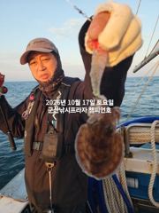 17일, 군산은 갑오징어 끝내주네요~~오늘도 굿굿~실시간 조황~군산낚시프라자 챔피언호
