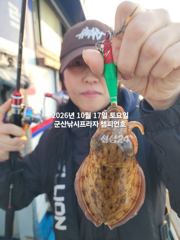 17일, 군산은 갑오징어 끝내주네요~~오늘도 굿굿~실시간 조황~군산낚시프라자 챔피언호