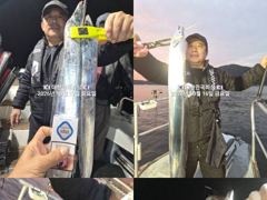 [진해] 내만갈치~~왕갈치~대갈치~풍년~쿨러가 비명을 질러~예약가능