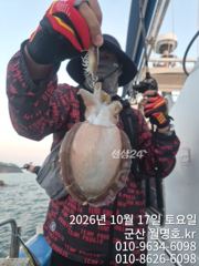 내만 갈치 내만 씨알이가 맞습니다 맞구요,,,(월욜부터 예약 가능)